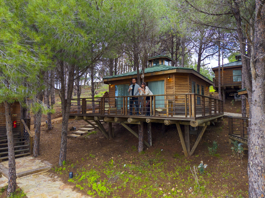 Kairos Valley Wellness & Longevity