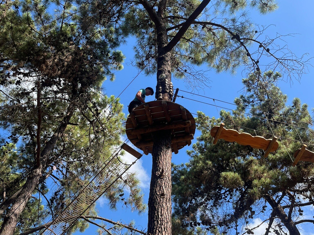 Aventura Amazonia Marbella-太阳海岸必去景点