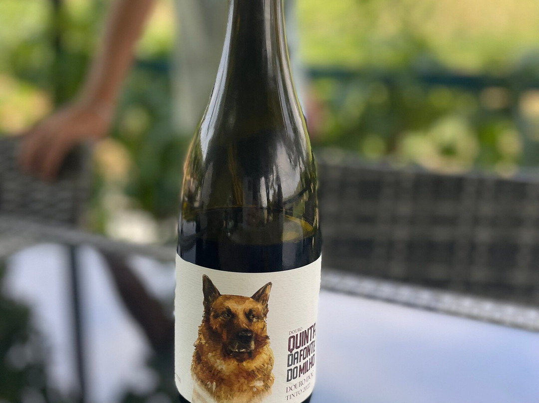 Quinta da Fonte do Milho-Provesende必去景点