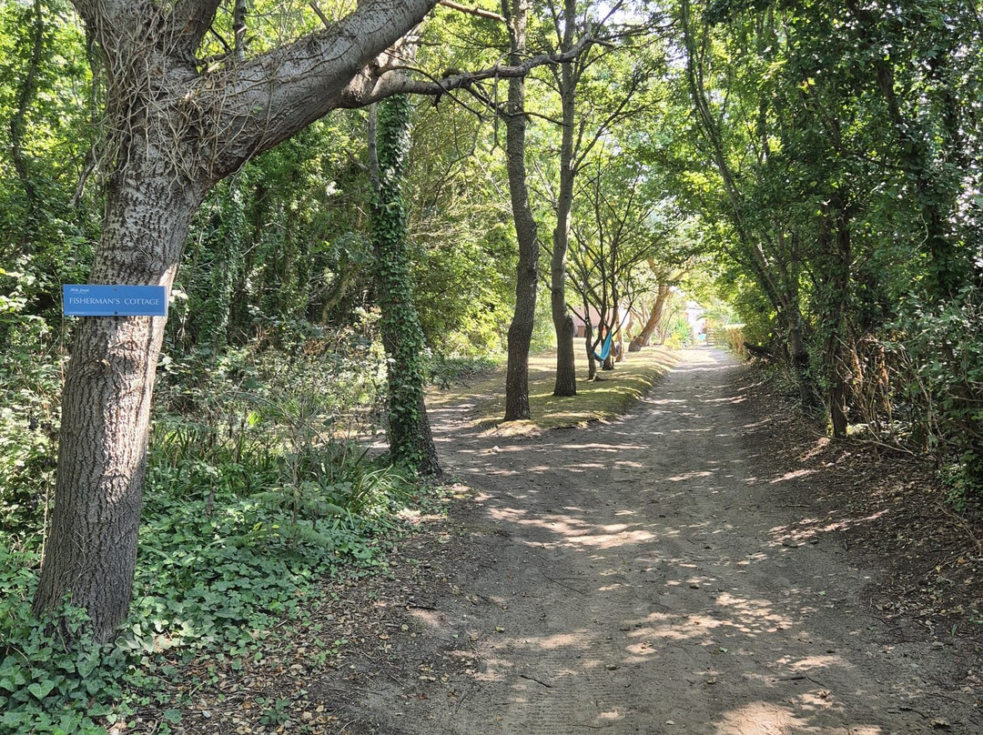 Soo Wellfair Tours-Vale必去景点