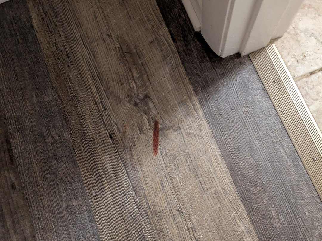 Starlight Lodge Cape Cod主图