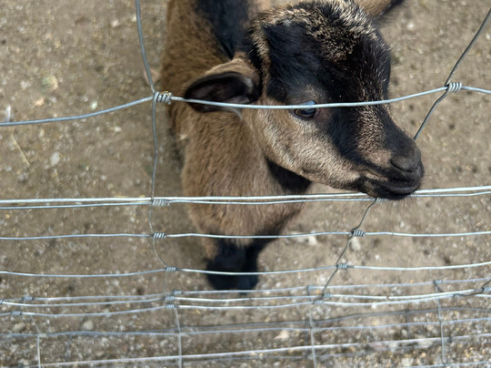 Malowe Nature-Rosay必去景点