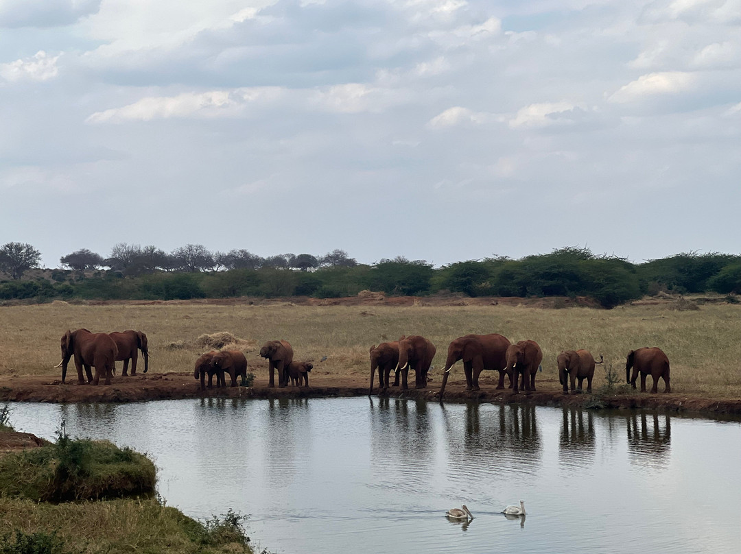 FAMILY LEISURE AFRICA SAFARIS-内罗毕必去景点