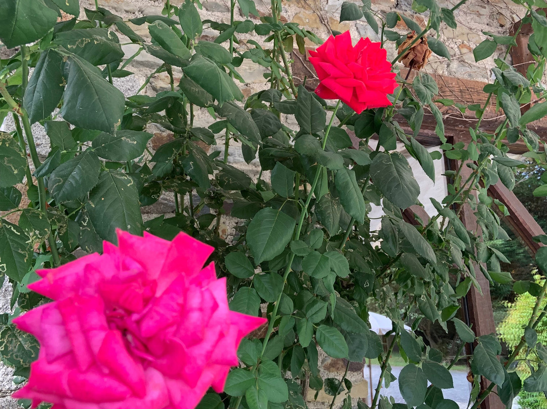 Le Manoir de la Roche Torin主图