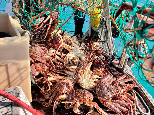 Sailing The Good Life-Vadso必去景点