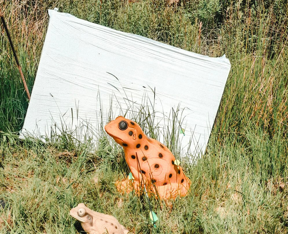 Bogenparcours Damerow-Koserow必去景点