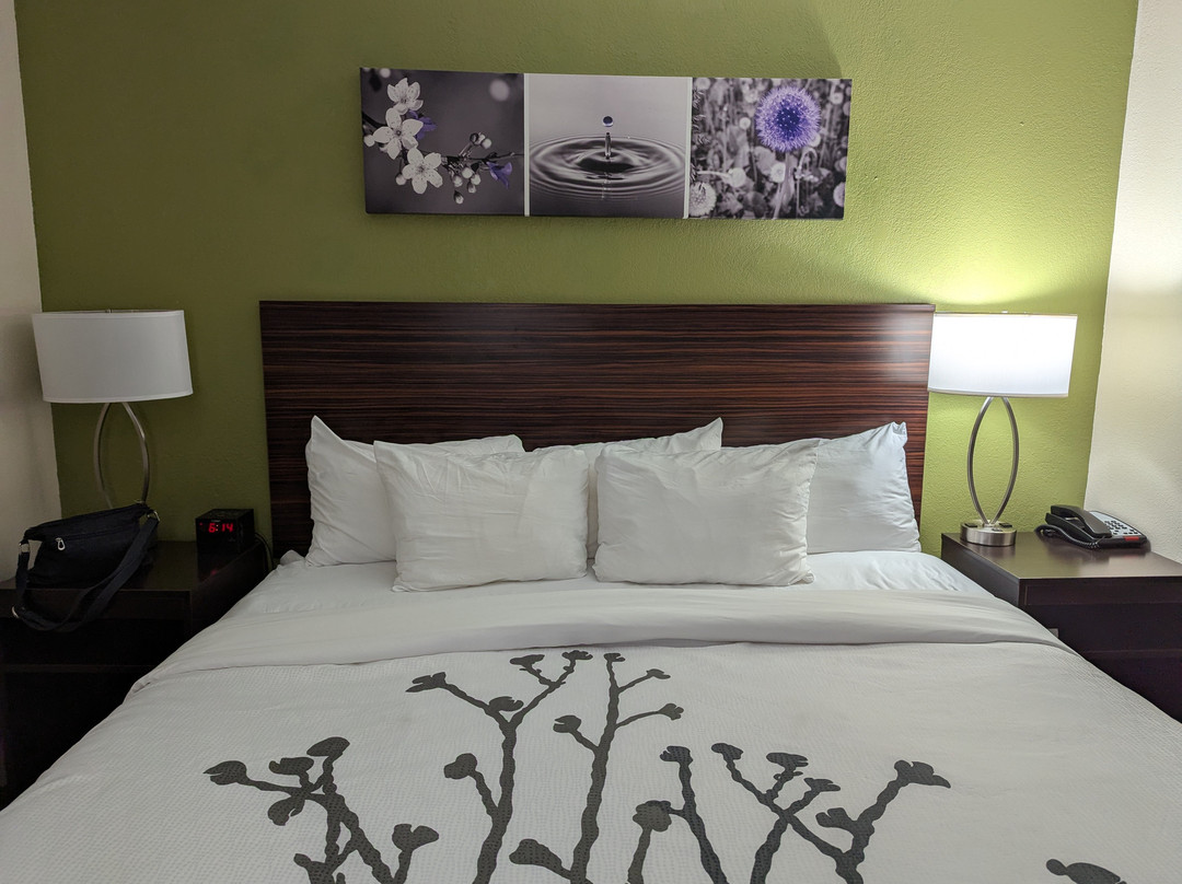 Sleep Inn Wytheville I-77 And I-81主图