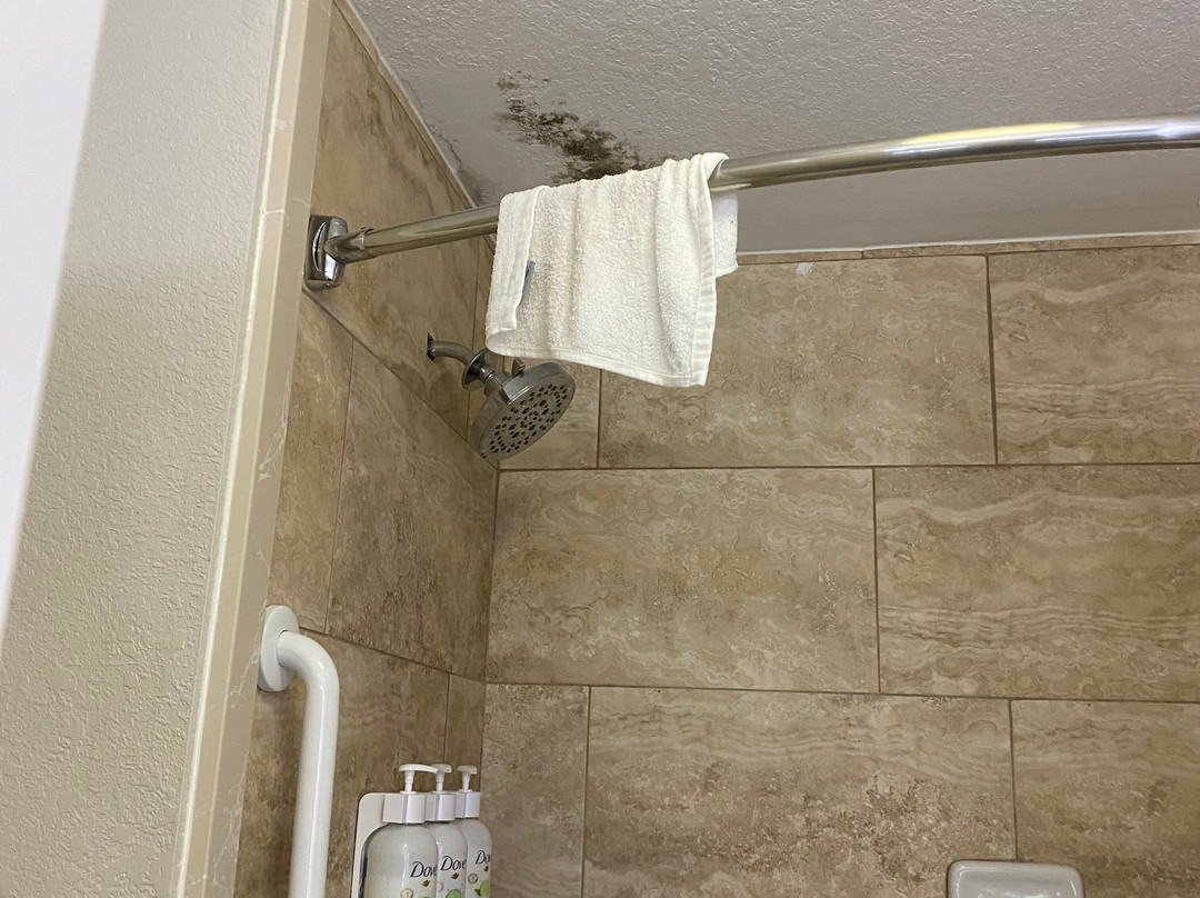 La Quinta Inn & Suites by Wyndham Prattville主图