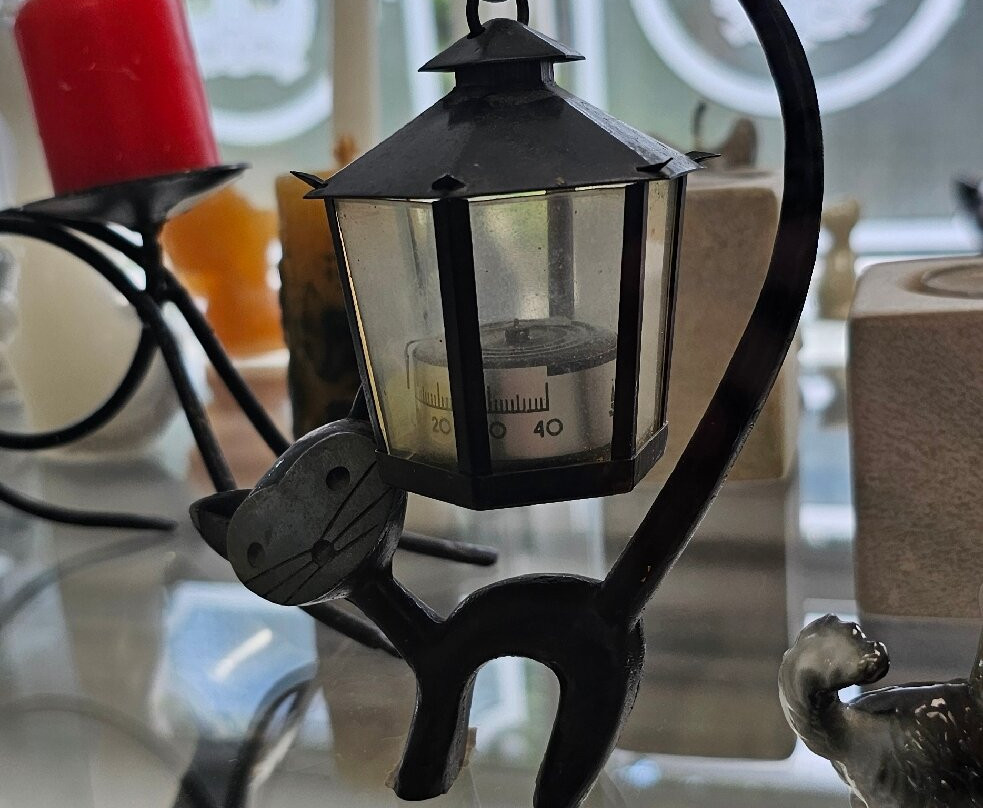 The Cat Museum-希奥利艾必去景点