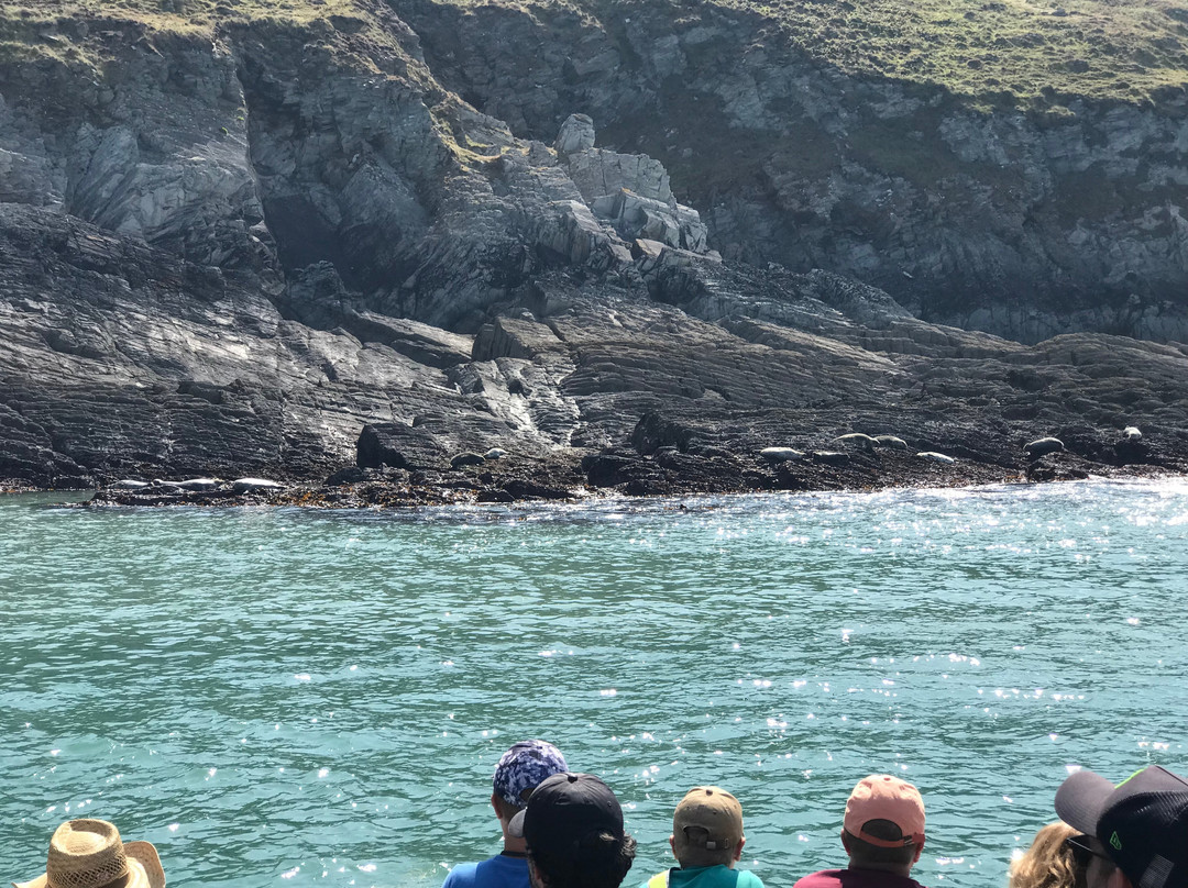 Ilfracombe Princess-伊尔弗勒科姆必去景点