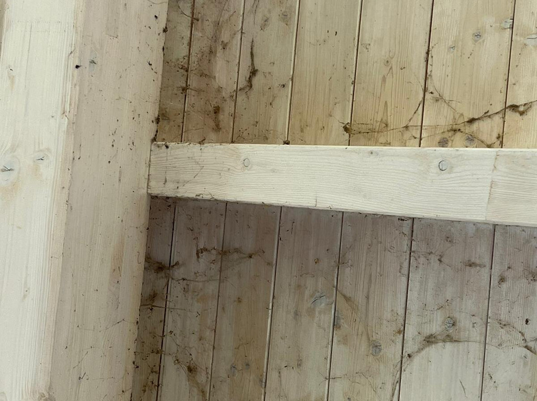 Hotel ChiemseePanorama主图