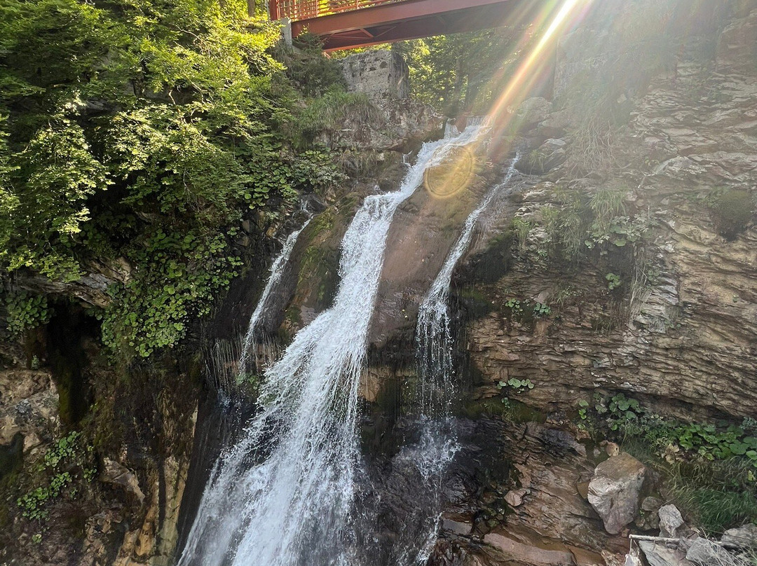 Cascade D'ardent-Montriond必去景点