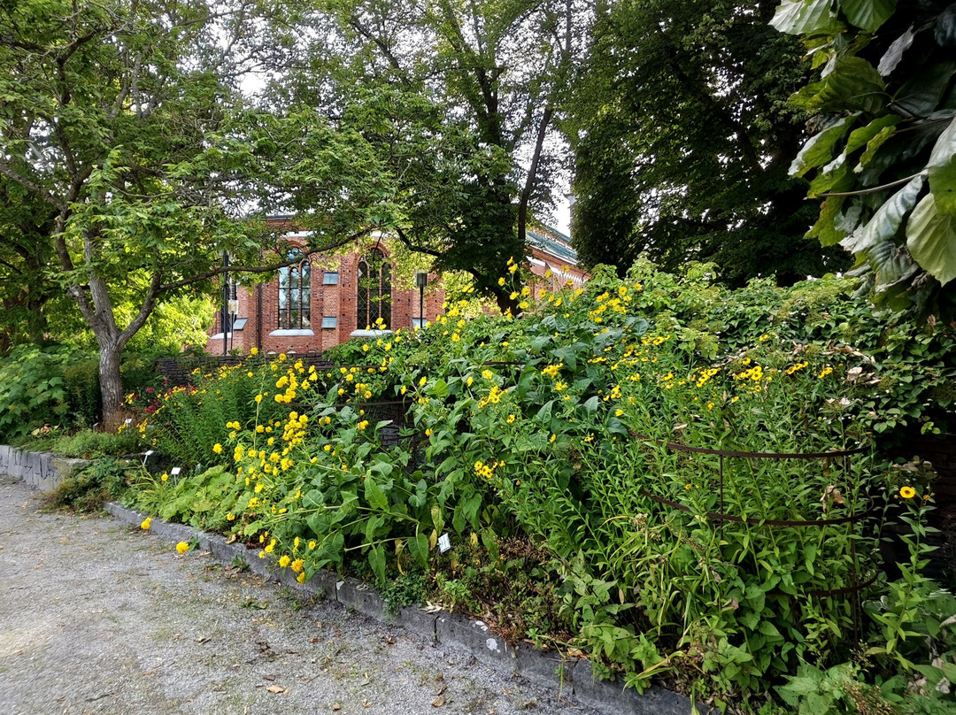 Botaniska Trädgården-韦斯特罗斯必去景点