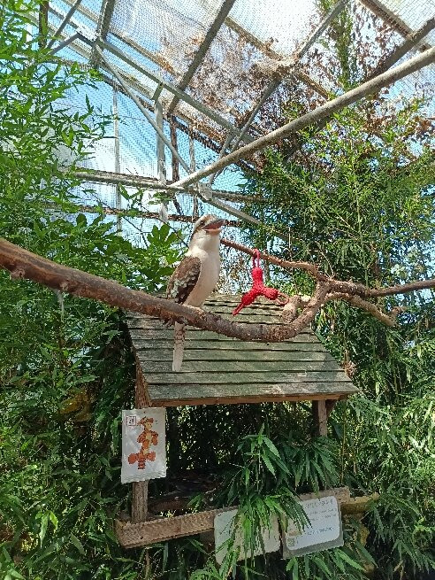 Pili Palas Nature World-Menai Bridge必去景点