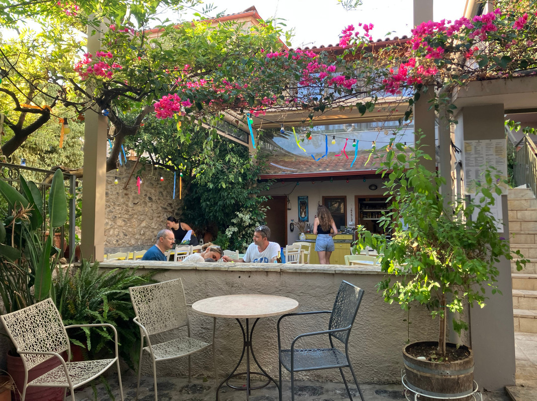 Yioryitsa’s Backyard