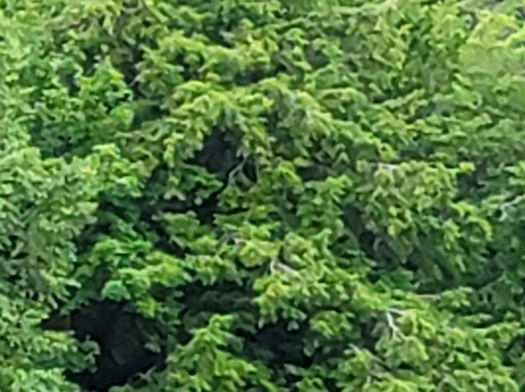 Grand Island-缪尼辛必去景点