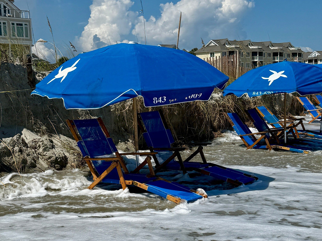 Isle of Palms Beach-棕榈岛必去景点