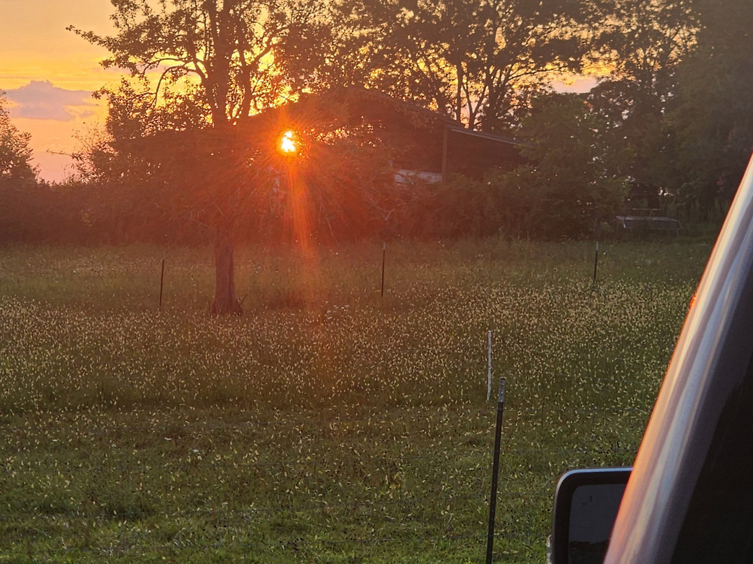Little Tail Farms-Dunlap必去景点