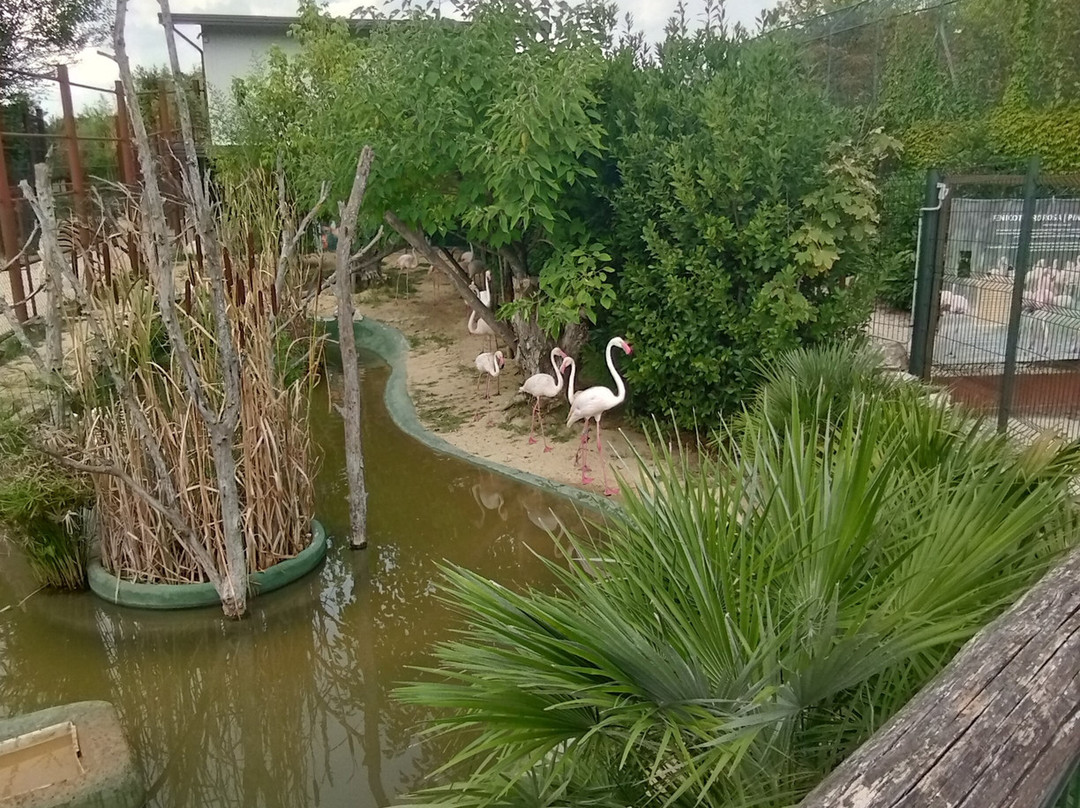 Zoo Delle Maitine-Pesco Sannita必去景点