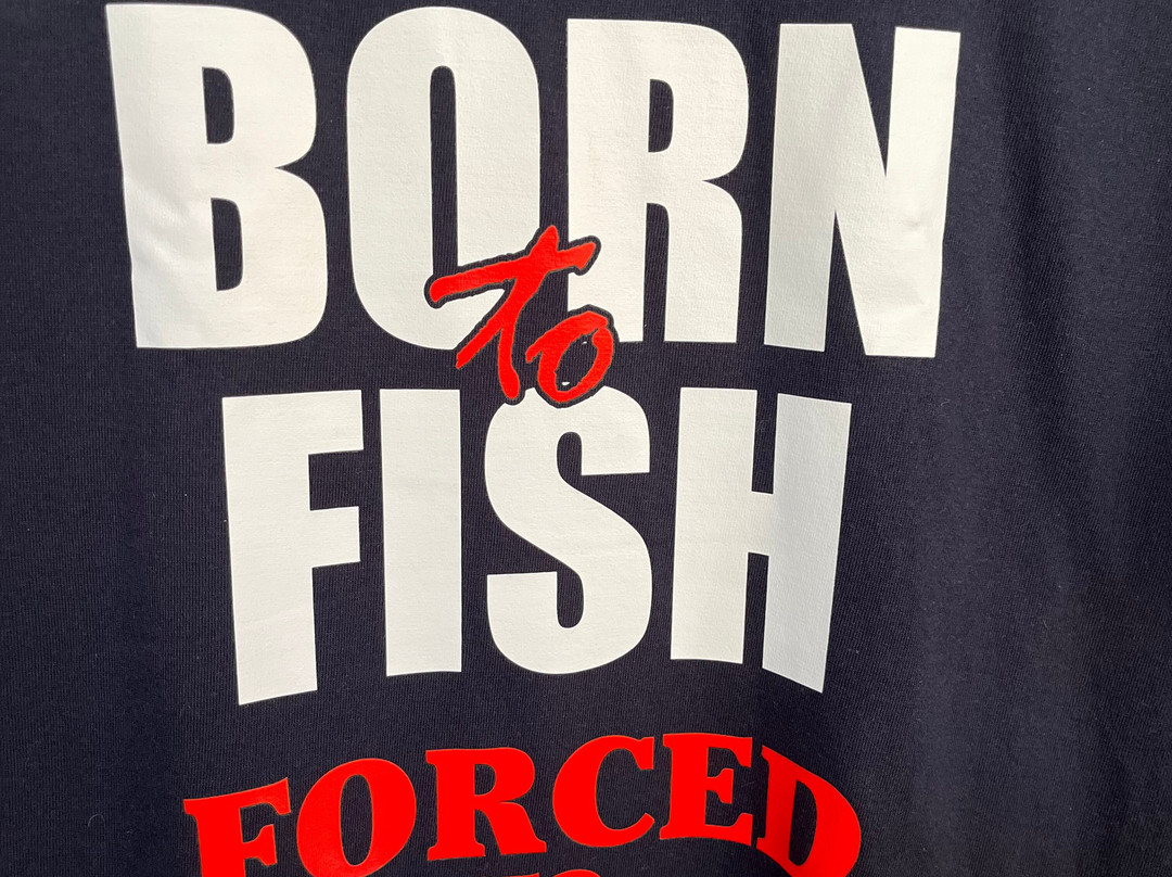 The Shop in the Bush-圣海伦火山必去景点