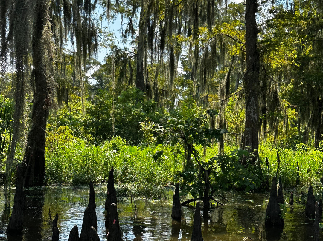 Airboat Tours-Des Allemands必去景点