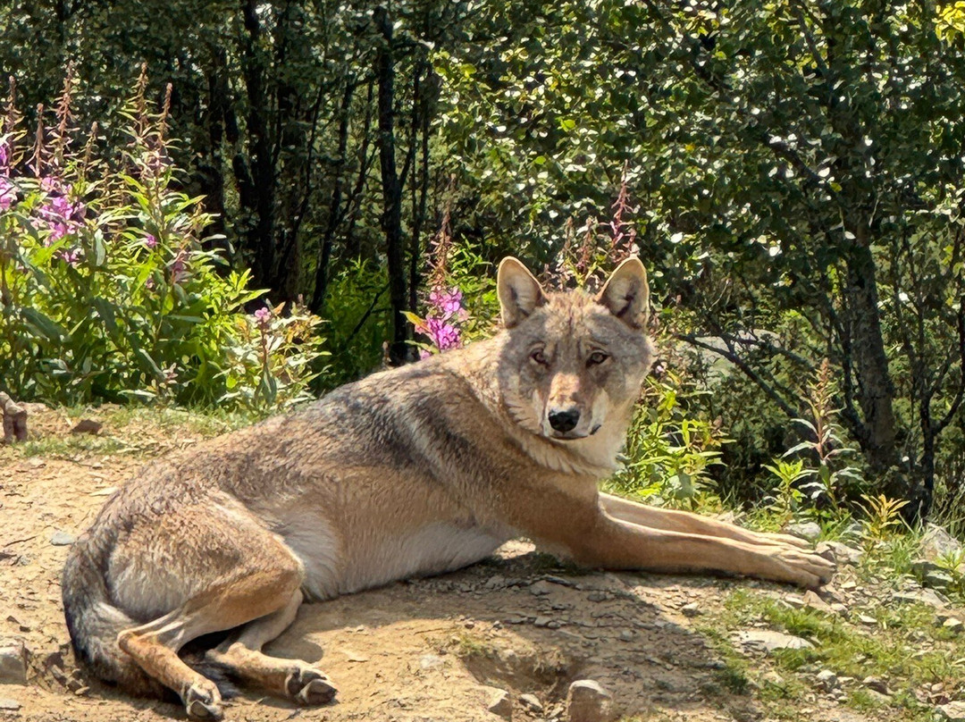 Langedrag Nature Park-Nesbyen必去景点