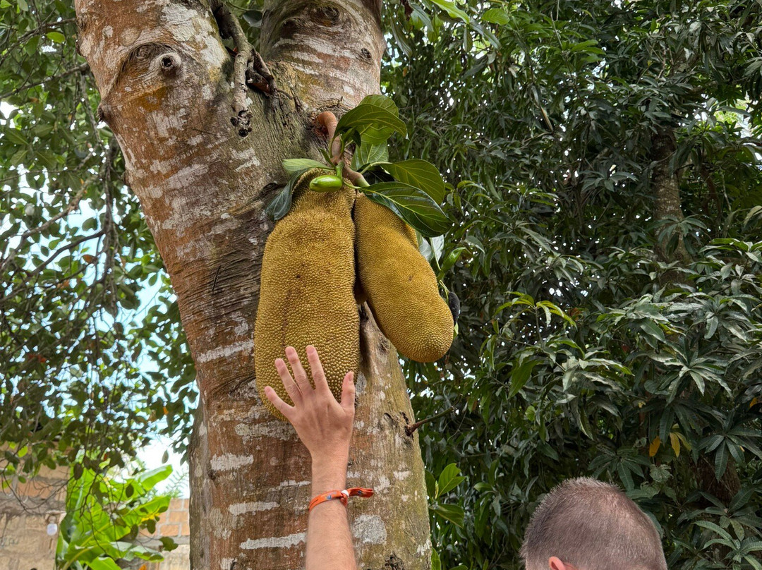Jambo Spice Farm-桑给巴尔市必去景点