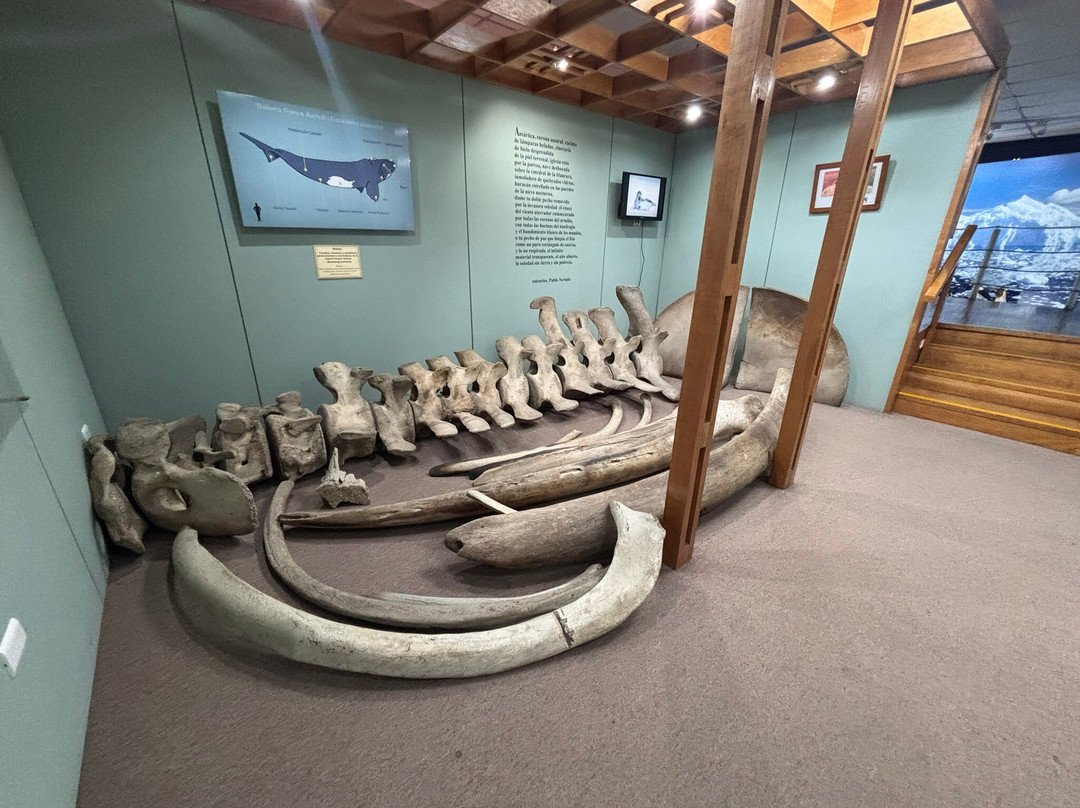 Museo Salesiano / Magiorinno Borgatello-蓬塔阿雷纳斯必去景点