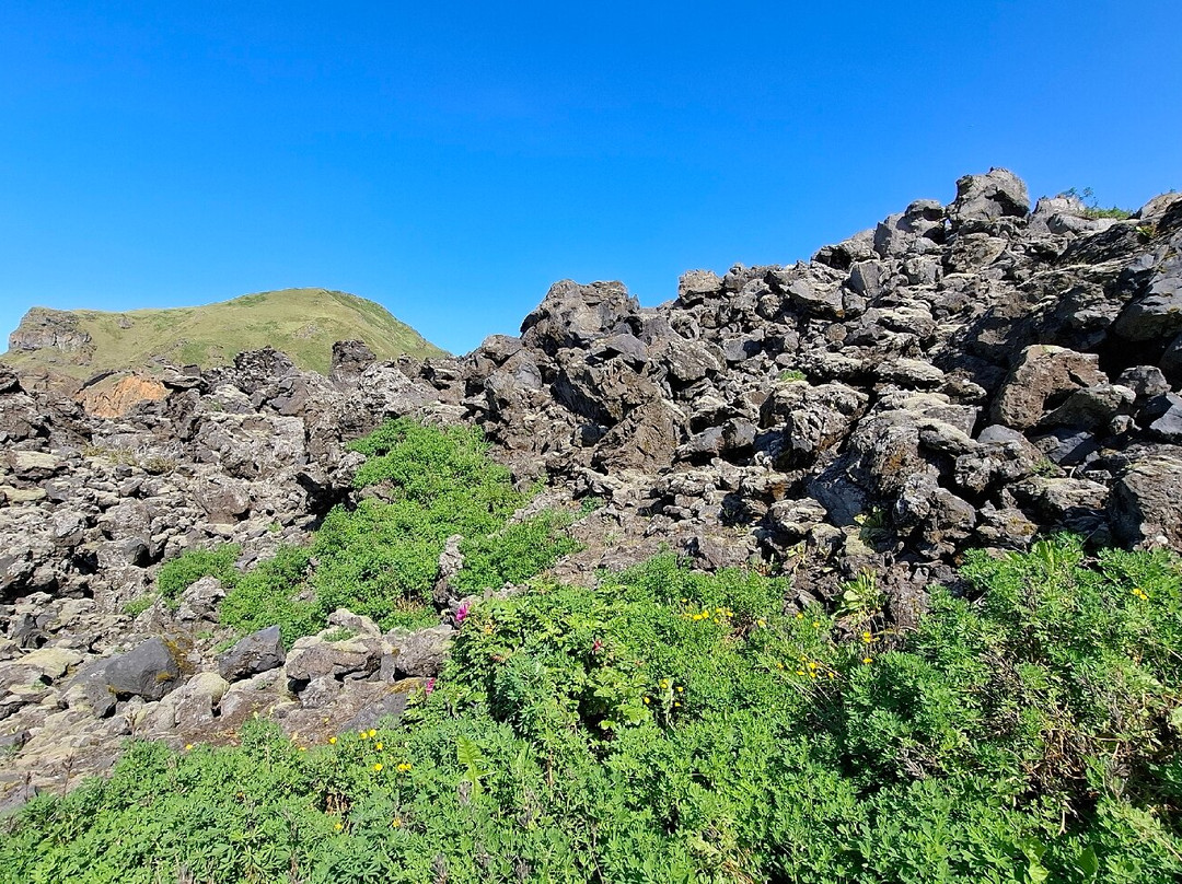 Hop On Hop Off Vestmannaeyjar-韦斯特曼纳群岛必去景点