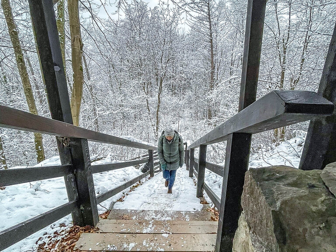 Ruiny Zamku Sobień-Zaluz必去景点