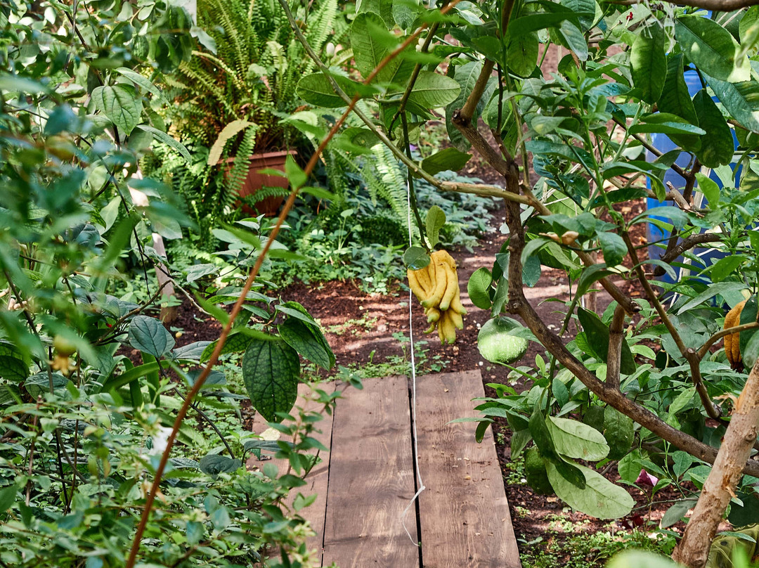 Lemonarium-乌法必去景点