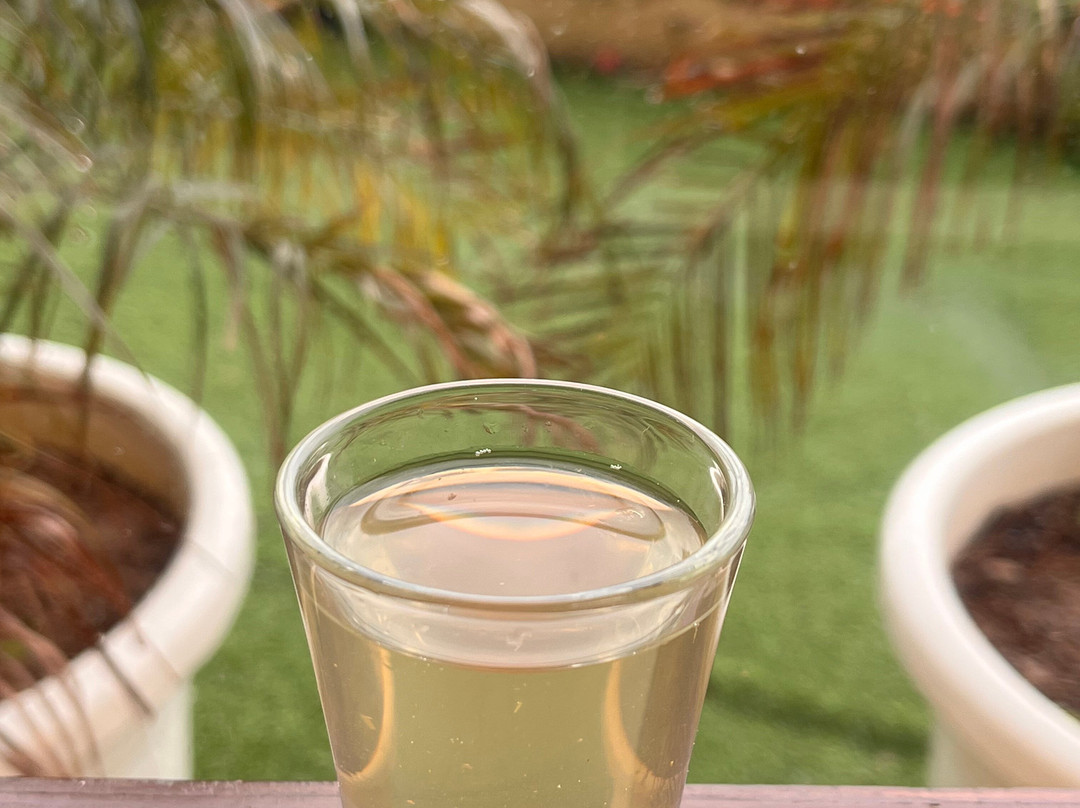 Udman Grand Mashobra主图