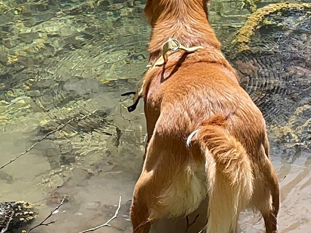 Exploreagn-Agios Nikolaos必去景点