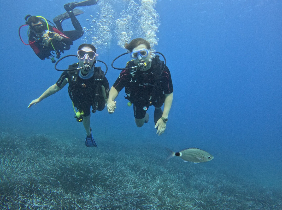 Dolphin Diving Center-雷斯蒙必去景点