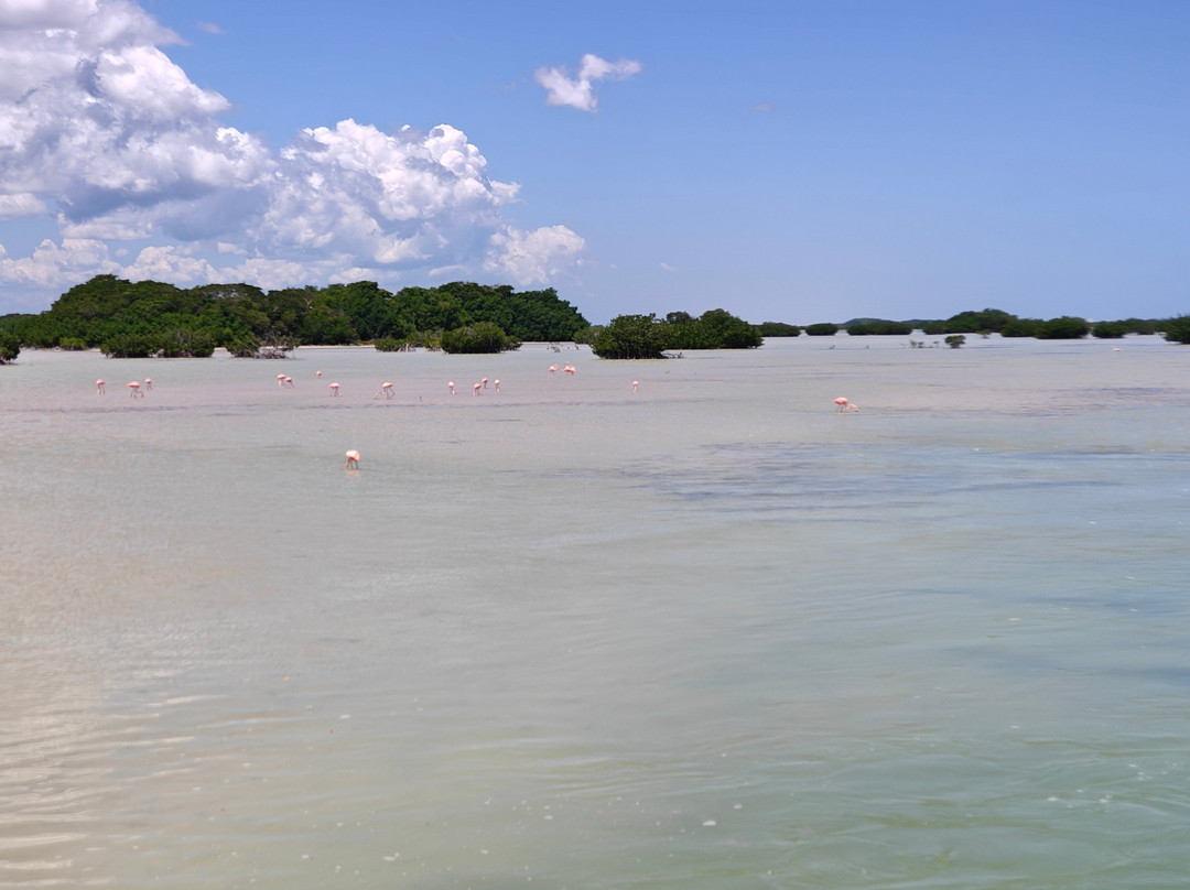 Grupo Auto Progreso-梅里达必去景点