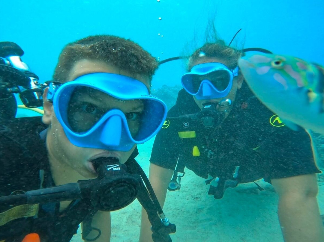 Mahana Dive-Fare必去景点