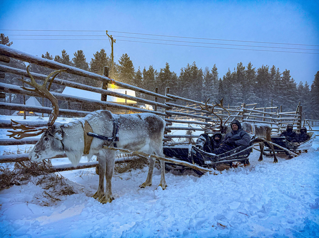 Sieriporo Safaris-罗瓦涅米必去景点