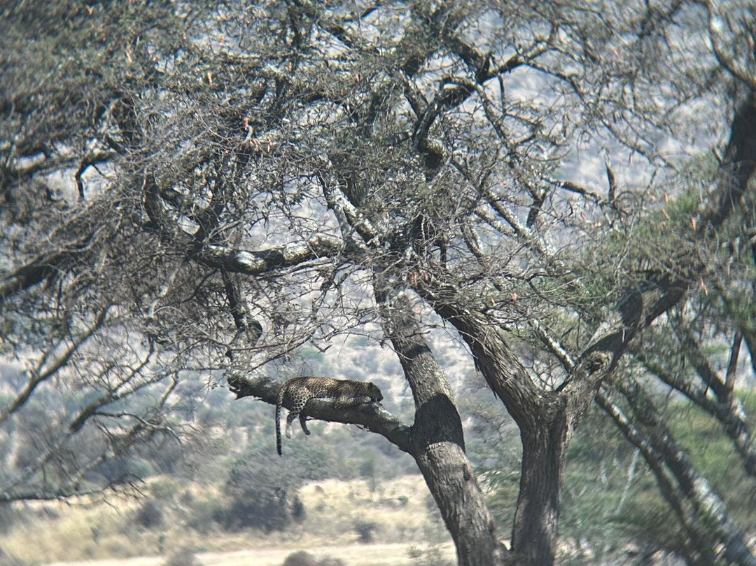 Ajabu Adventures Ltd - Day Tours-阿鲁沙必去景点