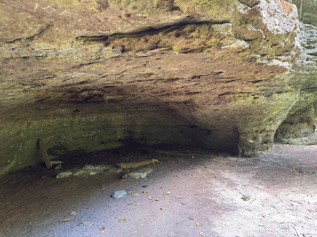 Natural Bridge State Park-Leland必去景点