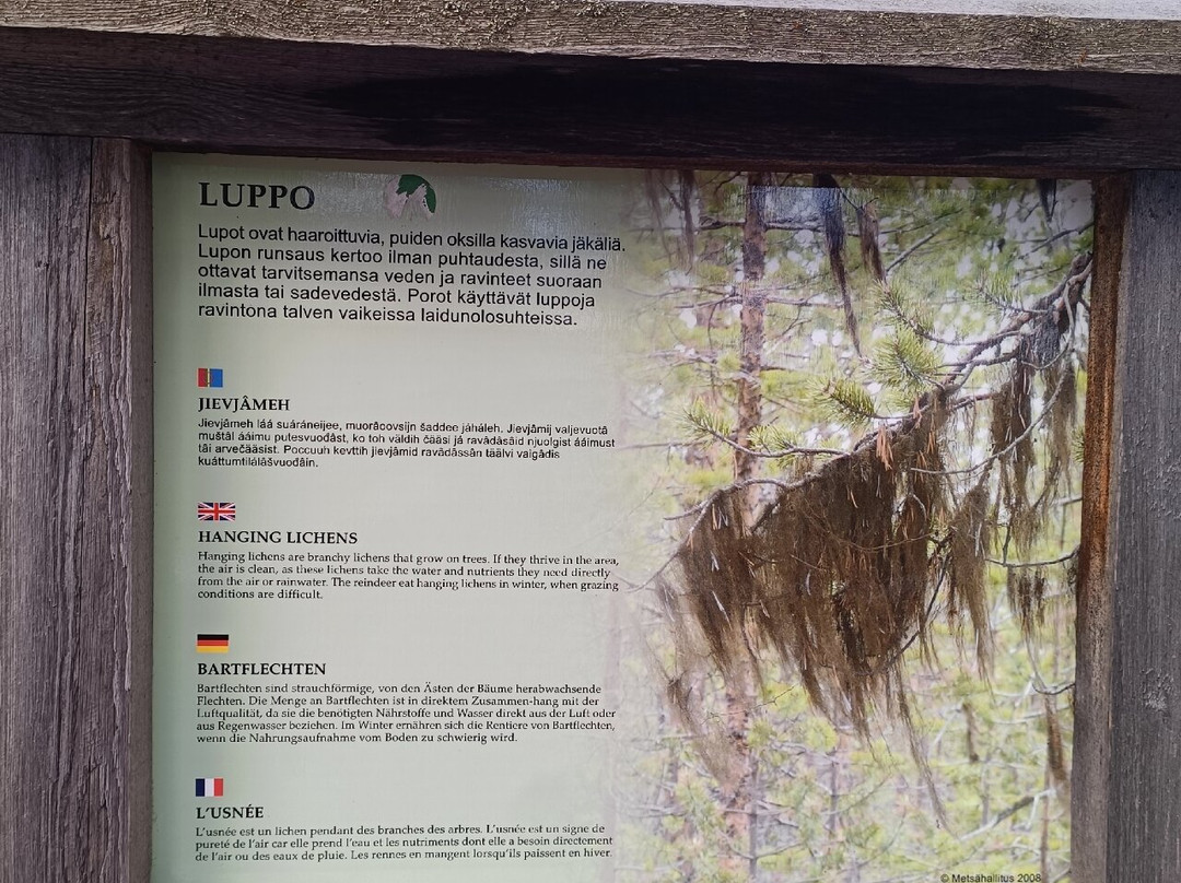 Karhunpesakivi-伊纳里必去景点