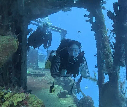 Jaguar Divers-普拉亚德尔卡曼必去景点