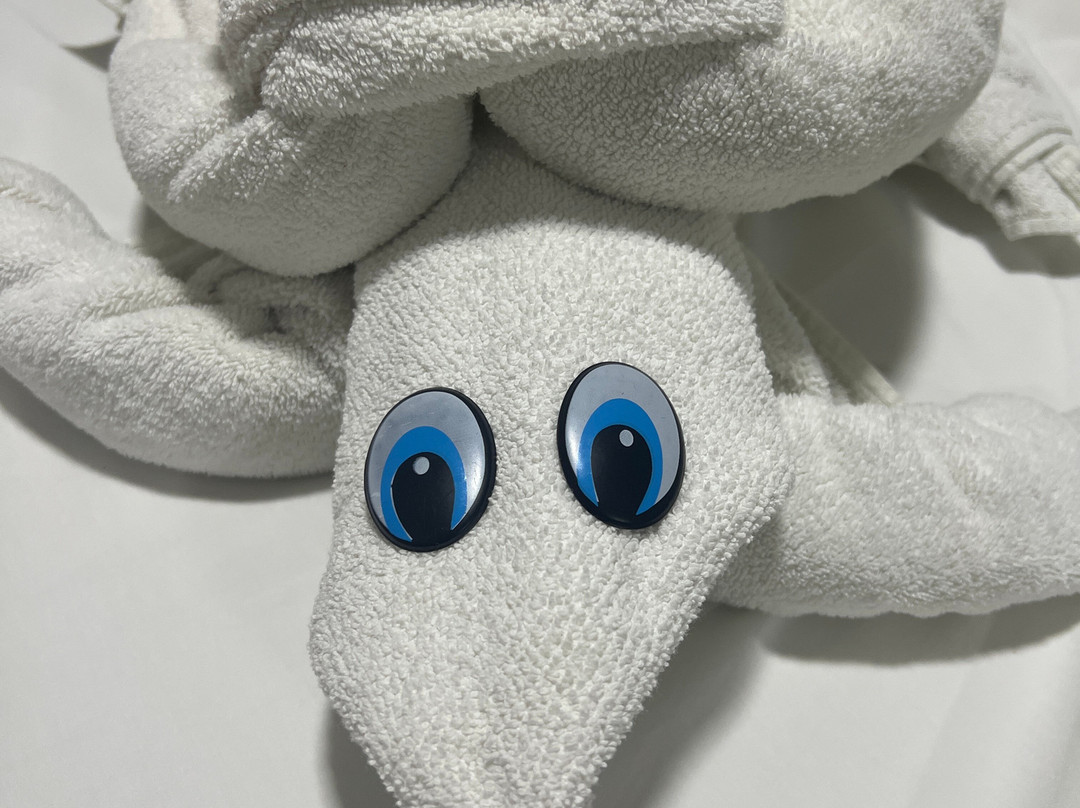 纳塔尔水族馆酒店主图