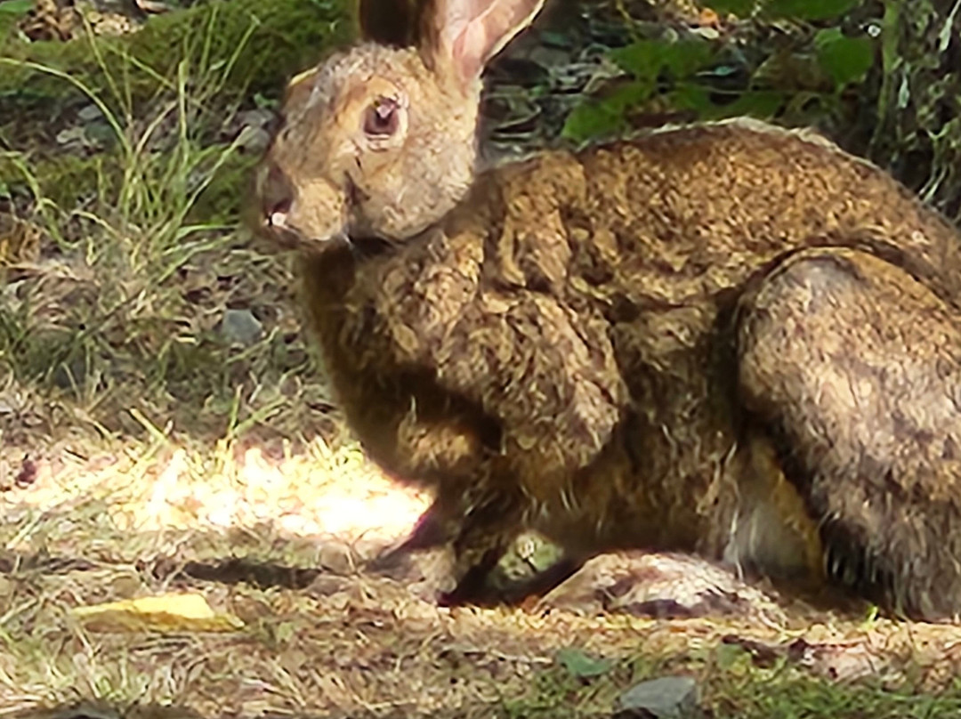 Ellenwood Lake Provincial Park-Deerfield必去景点