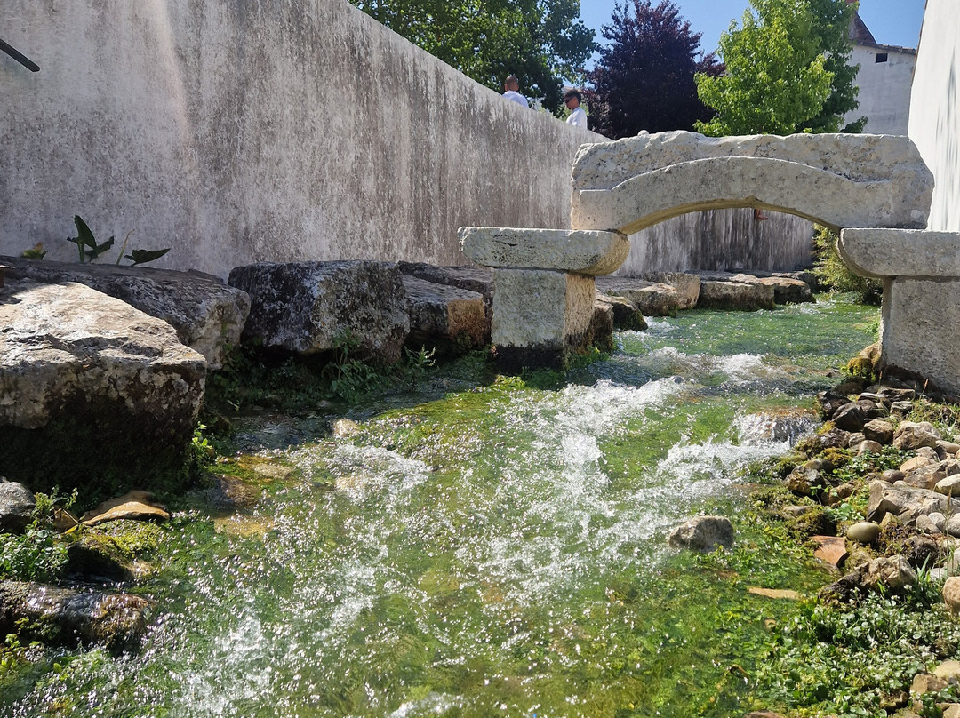 Piscina Natural de Ançã-Cantanhede必去景点