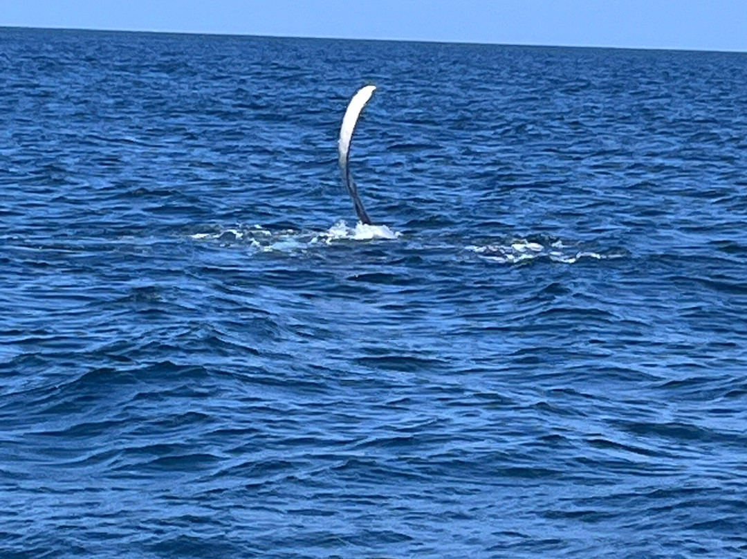 Zinkwazi Dive Charters-Zinkwazi Beach必去景点