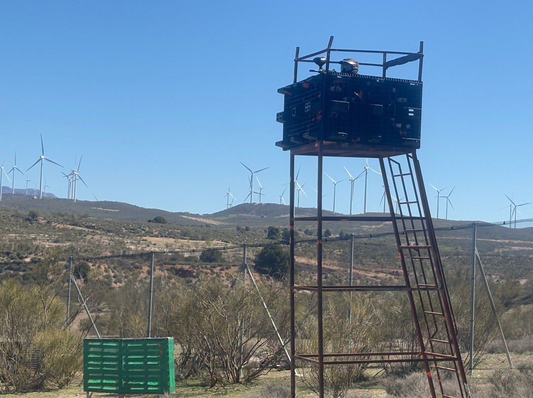 Paintball Almanzora-Seron必去景点