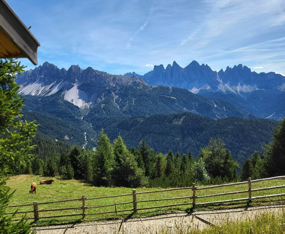 Plose-Semperbau必去景点