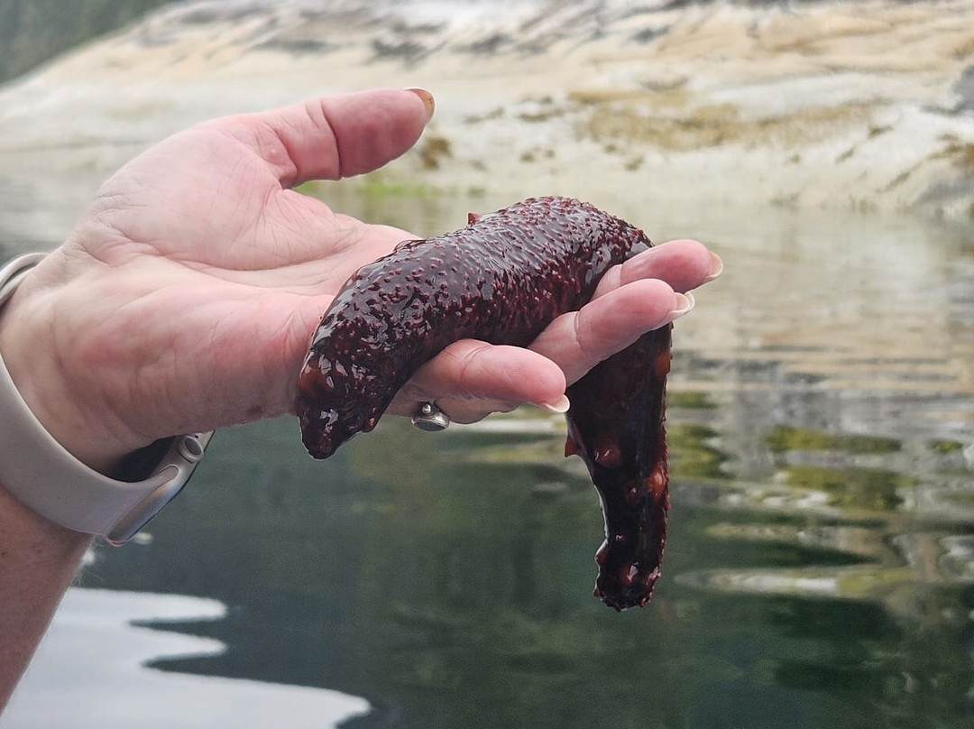 Pedals & Paddles Adventure Sports-Sechelt必去景点