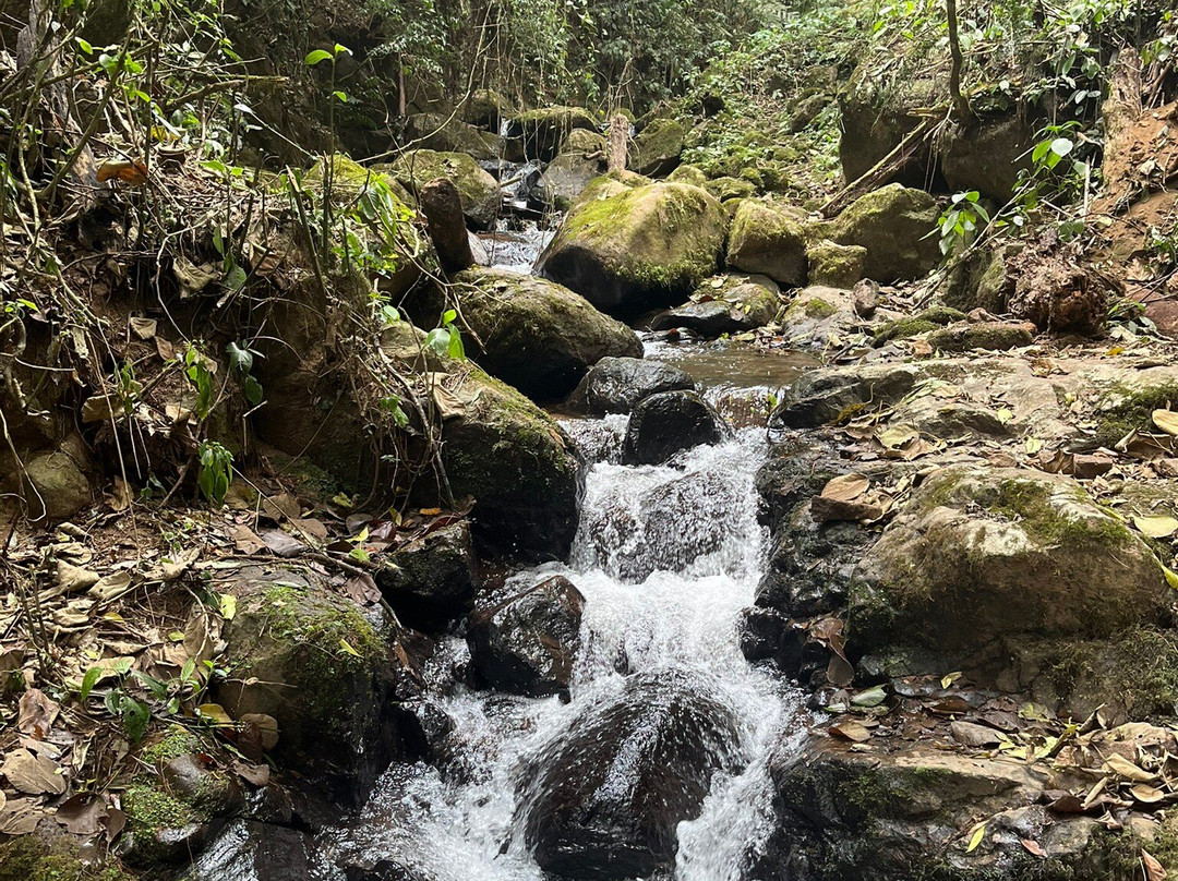 Espaço Garden Margarida-Sao Francisco Xavier必去景点