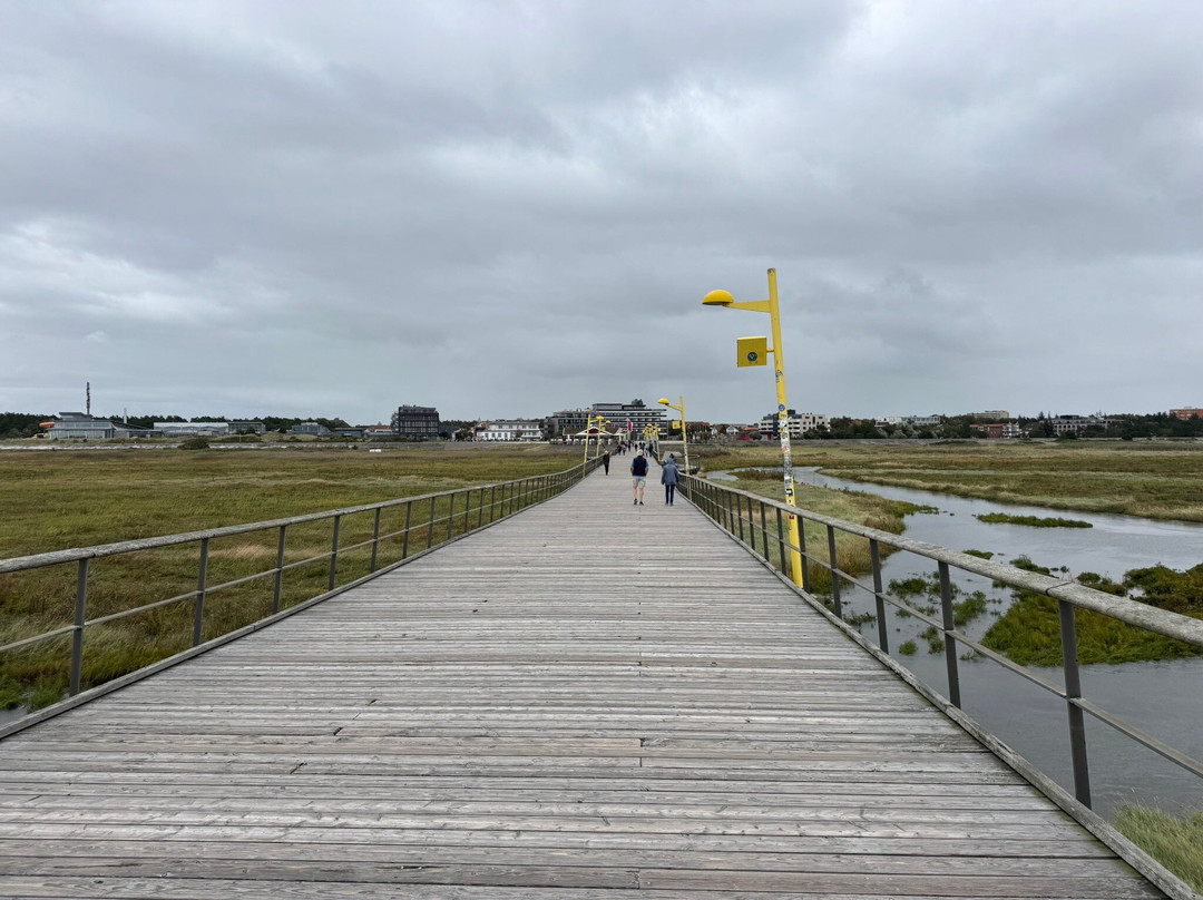 Seebrücke-圣彼得奥尔丁必去景点